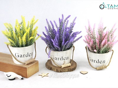 Chậu hoa Lavender để bàn xô gỗ Garden CHAUHOATTS-03