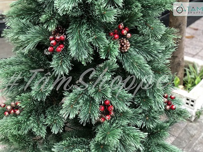 Cây thông Noel xanh cước đầu xòe gắn trái đỏ cao từ 180-240cm X-TREE-18