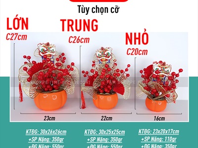 Chậu hoa tết trái hồng cắm đào đông rẻ quạt [3 cỡ - Khai trương - Tết] CHAUHOACS-04