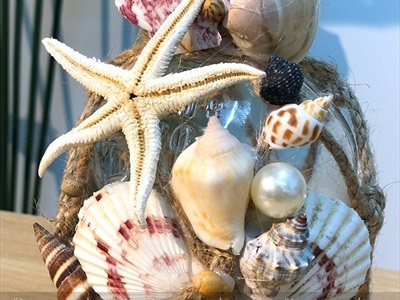 Set vỏ sò ốc sao biển ngọc trai làm handmade 17 cái [Có chai handmade sẵn] VOSOOC-SET01