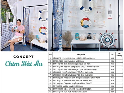 Concept biển chill với chim hải âu 