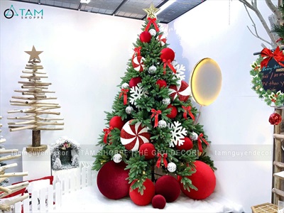 Cây thông Noel PE châu vải nhung đỏ kẹo ngọt cao 2m4 [2024 - Tâm Nguyễn Decor] CTHTTS-X-2401