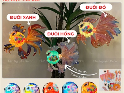 Lồng đèn cá chép DIY tự lắp ráp 3 màu siêu xinh [Loại 01 - nhiều phụ kiện] LDEN-GIAY-11
