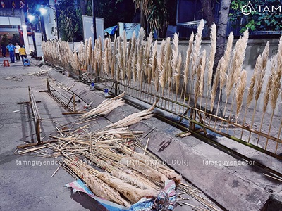 Thi công 100m hàng rào bông cỏ lau xù khô tại Tu viện Vĩnh Đức - Tp.Thủ Đức THICONG-01