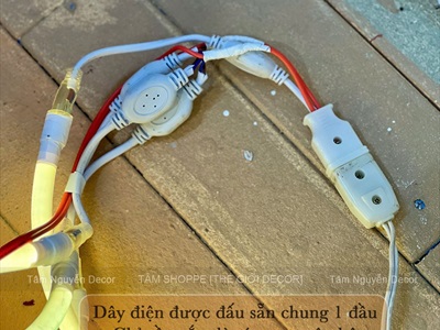 Bụi tre Trung thu đèn Led - Một góc nhà sáng rực, gọi cả tuổi thơ về [2026 - Tâm Nguyễn Decor] CC-TRUNGTHU-2602