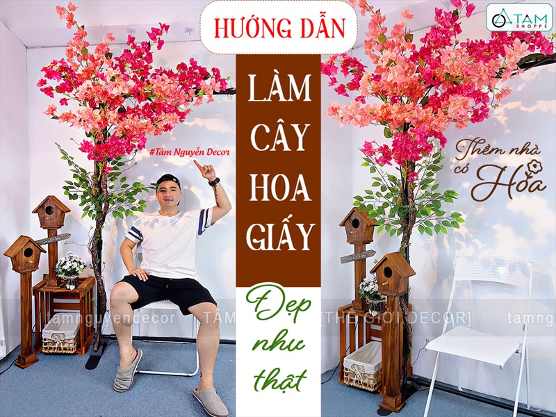 Concept cây hoa giấy rực rỡ - Góc ngồi thư giãn [2025 - Tâm Nguyễn Decor] CC-HOAGIA-01