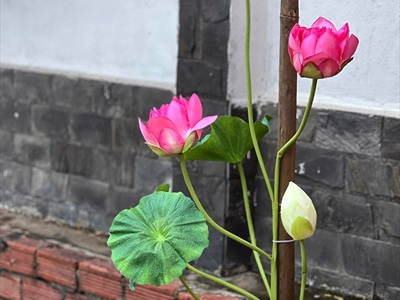 Concept Cổng Trung thu 