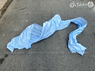 Concept decor cá chép và sóng 