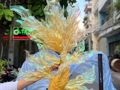 Concept decor cá chép và sóng 