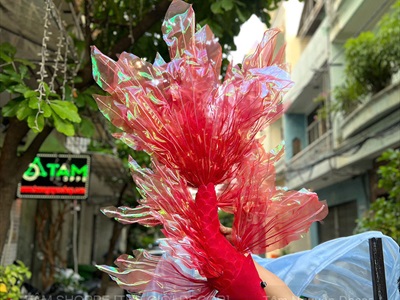 Concept decor cá chép và sóng 