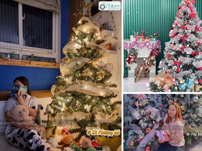 Tổng hợp những feedback trang trí Giáng Sinh thực tế ấn tượng từ khách hàng của Tâm Shoppe 2022