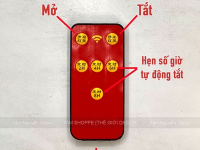 Bộ dây điện đỏ treo 2 lồng đèn có remote hẹn giờ [Dây dài - 220V 10W] DAYDIEN-01