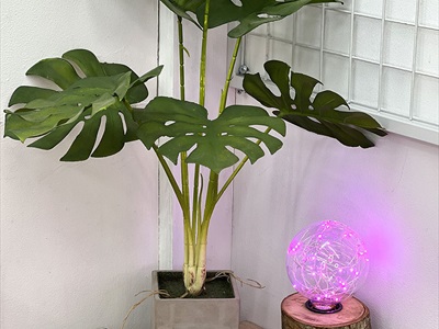 Bóng đèn Led đom đóm hồng G95 [Lung linh - Sáng vừa] BONGDEN-05