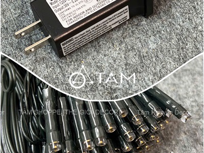 Dây đèn led bóng trơn Âu Mỹ dây xanh [Chuẩn xịn - Điện] DAYDEN-15