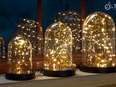 Dây đèn led đom đóm decor [Sáng đẹp - Nhiều loại] DAYDEN-17