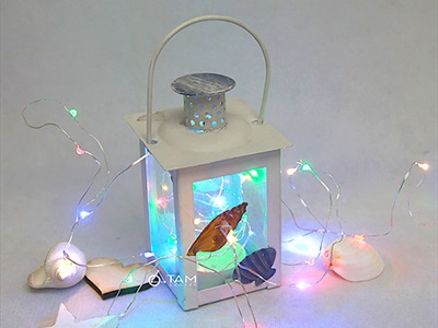 Dây đèn led đom đóm decor [Sáng đẹp - Nhiều loại] DAYDEN-17