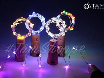 Dây đèn led đom đóm nút chai decor [2m 20Led - Sẵn pin] DAYDEN-16