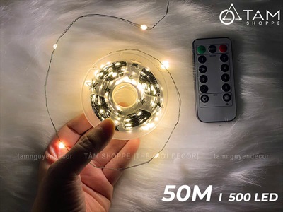 Dây đèn led đom đóm trơn [Dây xanh - Led dày - Remote] DAYDEN-05