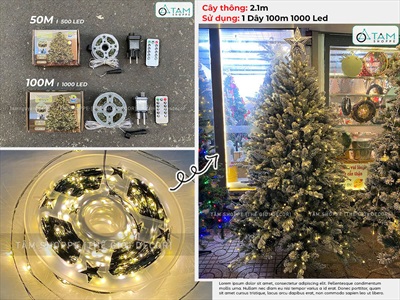 Dây đèn led đom đóm trơn [Dây xanh - Led dày - Remote] DAYDEN-05