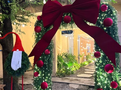 Dây đèn led đom đóm trơn [Dây xanh - Led dày - Remote] DAYDEN-05