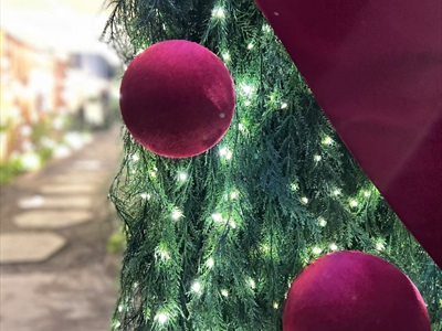 Dây đèn led đom đóm trơn [Dây xanh - Led dày - Remote] DAYDEN-05