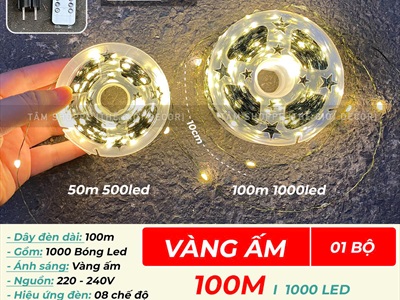 Dây đèn led đom đóm trơn [Dây xanh - Led dày - Remote] DAYDEN-05