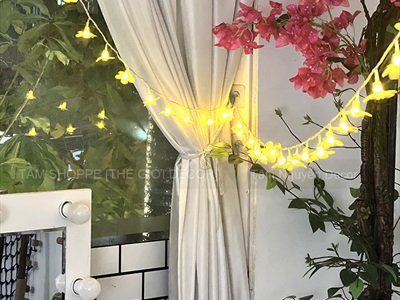 Dây đèn led hoa mai hoa đào phát sáng [Nhiều kiểu - Điện] DAYDEN-24
