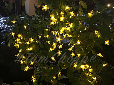 Dây đèn led hoa mai hoa đào phát sáng [Nhiều kiểu - Điện] DAYDEN-24