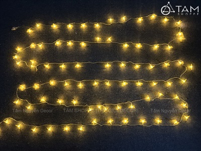 Dây đèn led hoa mai hoa đào phát sáng [Nhiều kiểu - Điện] DAYDEN-24
