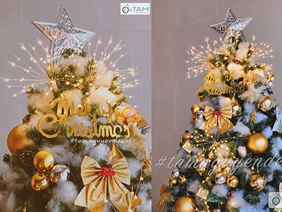 Dây đèn led pháo bông 5 chùm [Có hiệu ứng - Đầu nối tiếp] DAYDEN-08