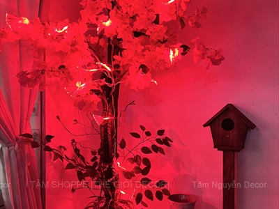 Dây đèn led sợi quang học bắt sáng [5m 20Led - Điện] DAYDEN-19