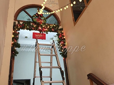 Dây đèn led trái chanh nhựa đục [4m 20bóng- Điện] DAYDEN-13