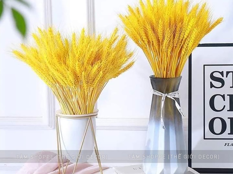 Bó lúa mạch khô trang trí 110gr (80-100 cành) HOAKHO-02
