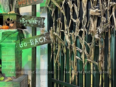 Bó 05 cây bắp khô trang trí [Ngẫu nhiên - 120/150cm] CAYLAKHO-01