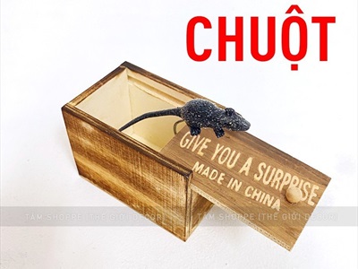 Hộp gỗ đồ chơi hù doạ kéo nắp giật mình [Nhiều con vật - Bất ngờ] DOCHOI-HLW-05