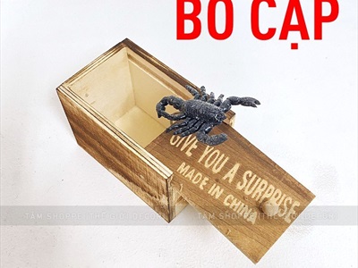 Hộp gỗ đồ chơi hù doạ kéo nắp giật mình [Nhiều con vật - Bất ngờ] DOCHOI-HLW-05