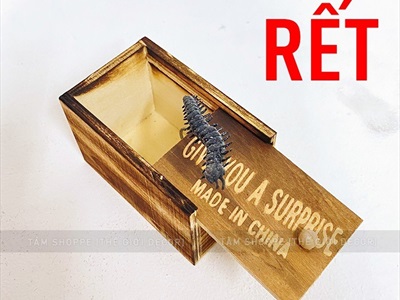 Hộp gỗ đồ chơi hù doạ kéo nắp giật mình [Nhiều con vật - Bất ngờ] DOCHOI-HLW-05