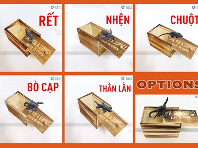 Hộp gỗ đồ chơi hù doạ kéo nắp giật mình [Nhiều con vật - Bất ngờ] DOCHOI-HLW-05