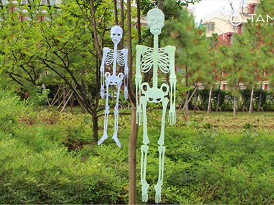 Mô hình bộ xương người dạ quang phát sáng [Nhiều cỡ - Xếp gọn] XUONGNGUOI-03