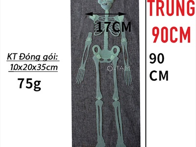 Mô hình bộ xương người dạ quang phát sáng [Nhiều cỡ - Xếp gọn] XUONGNGUOI-03