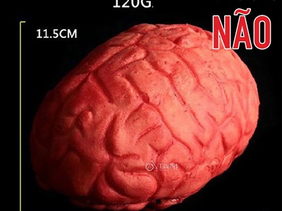 Mô hình tim máu - não máu trang trí [Cao su - bóp mềm] HLW-KHAC-01
