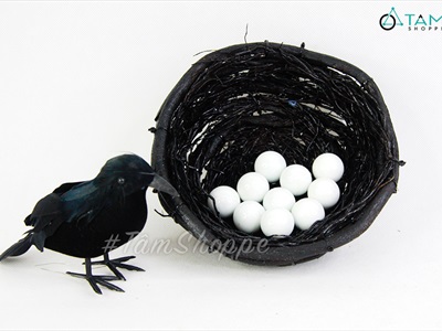 Mô hình tổ quạ đen trang trí bằng rễ cây TCHIM-01