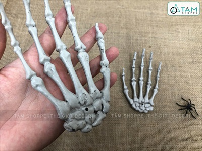 Mô hình xương bàn tay người như thật nhiều cỡ XUONG-TAY-01