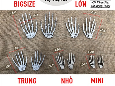 Mô hình xương bàn tay người như thật nhiều cỡ XUONG-TAY-01