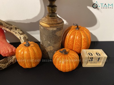 Quả bí ngô Halloween cuốn đen như thật 3 cỡ [11.5-18cm - Loại đẹp] TRAI-BINGO-08