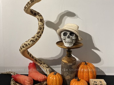 Quả bí ngô Halloween cuốn đen như thật 3 cỡ [11.5-18cm - Loại đẹp] TRAI-BINGO-08