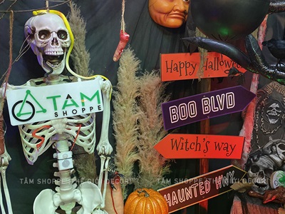 Quả bí ngô Halloween cuốn đen như thật 3 cỡ [11.5-18cm - Loại đẹp] TRAI-BINGO-08