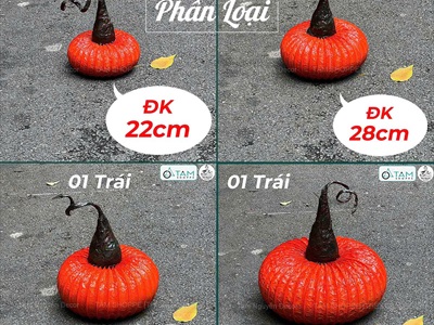 Quả bí ngô Halloween cuốn xoắn dài 4 cỡ [Handmade - Độc lạ] TRAI-BINGO-09