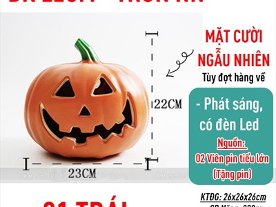 Quả bí ngô Halloween nhựa rỗng có đèn Led [Hàng xịn - Siêu sáng] TRAI-BINGO-06