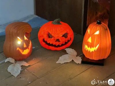 Quả bí ngô Halloween quéo đèn led siêu sáng [3 kiểu/14-16cm] TRAI-BINGO-10